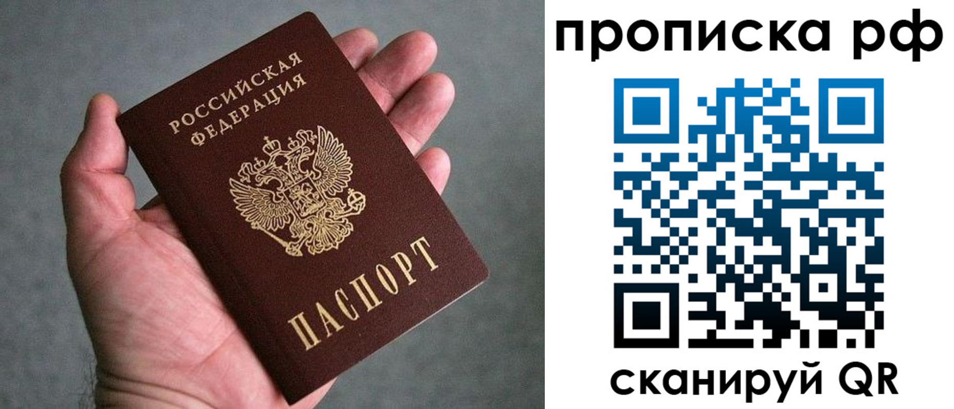 купить прописку в Емве